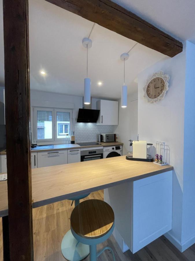 « A Deux Pas De La Petite Venise » Apartment Colmar Ngoại thất bức ảnh