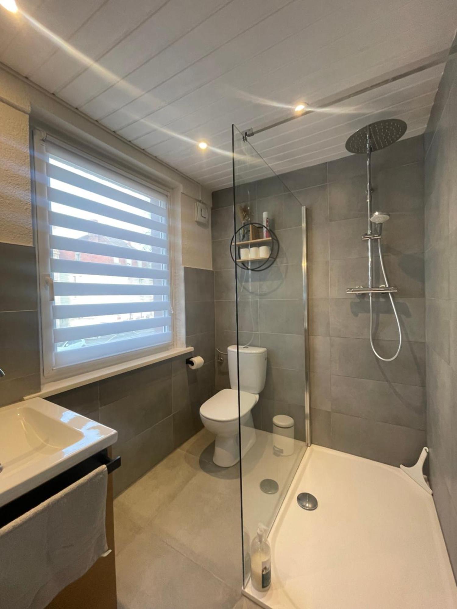 « A Deux Pas De La Petite Venise » Apartment Colmar Ngoại thất bức ảnh